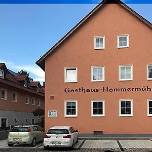 Landgasthof-hotel Hammermühle 3* Donaustauf